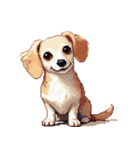 無言で伝えるチワックス クリーム（個別スタンプ：31）