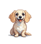 無言で伝えるチワックス クリーム（個別スタンプ：34）