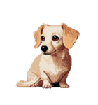 無言で伝えるチワックス クリーム（個別スタンプ：35）