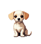 無言で伝えるチワックス クリーム（個別スタンプ：36）