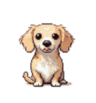 無言で伝えるチワックス クリーム（個別スタンプ：37）