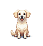 無言で伝えるチワックス クリーム（個別スタンプ：39）