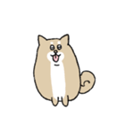 ゆるいいろんな犬たち（個別スタンプ：2）