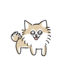 ゆるいいろんな犬たち（個別スタンプ：6）