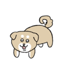 ゆるいいろんな犬たち（個別スタンプ：19）