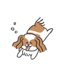 ゆるいいろんな犬たち（個別スタンプ：27）