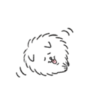 ゆるいいろんな犬たち（個別スタンプ：36）