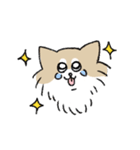 ゆるいいろんな犬たち（個別スタンプ：40）