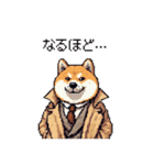 迷探偵な太っちょ柴犬 犯人は・・・？（個別スタンプ：16）