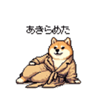 迷探偵な太っちょ柴犬 犯人は・・・？（個別スタンプ：17）