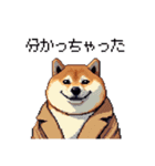 迷探偵な太っちょ柴犬 犯人は・・・？（個別スタンプ：25）