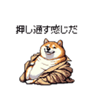 迷探偵な太っちょ柴犬 犯人は・・・？（個別スタンプ：36）