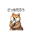 迷探偵な太っちょ柴犬 犯人は・・・？（個別スタンプ：40）