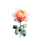 りぼんと薔薇と花束と【文字なし】（個別スタンプ：25）