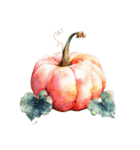 りぼんと薔薇と花束と【文字なし】（個別スタンプ：31）