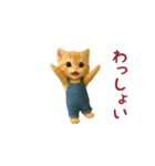 踊る！タマにゃん（個別スタンプ：11）