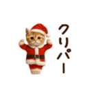 踊る！にゃんタクロース（個別スタンプ：12）