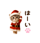 踊る！にゃんタクロース（個別スタンプ：17）