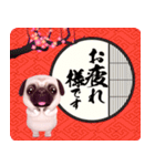 パグといっしょお正月【再販】（個別スタンプ：1）