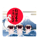 パグといっしょお正月【再販】（個別スタンプ：2）