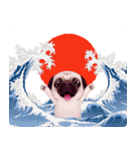 パグといっしょお正月【再販】（個別スタンプ：6）