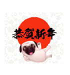 パグといっしょお正月【再販】（個別スタンプ：13）