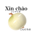 国産玉ねぎ【ベトナム語】（個別スタンプ：1）