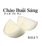 国産玉ねぎ【ベトナム語】（個別スタンプ：2）