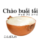 国産玉ねぎ【ベトナム語】（個別スタンプ：3）