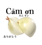 国産玉ねぎ【ベトナム語】（個別スタンプ：4）