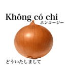 国産玉ねぎ【ベトナム語】（個別スタンプ：5）