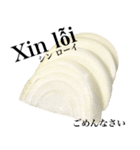 国産玉ねぎ【ベトナム語】（個別スタンプ：6）