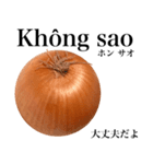 国産玉ねぎ【ベトナム語】（個別スタンプ：7）