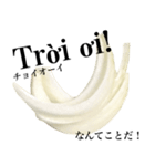 国産玉ねぎ【ベトナム語】（個別スタンプ：8）