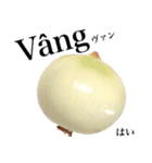 国産玉ねぎ【ベトナム語】（個別スタンプ：9）