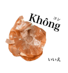 国産玉ねぎ【ベトナム語】（個別スタンプ：10）