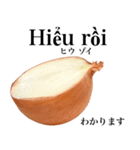 国産玉ねぎ【ベトナム語】（個別スタンプ：11）