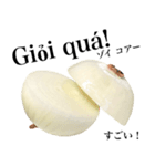 国産玉ねぎ【ベトナム語】（個別スタンプ：12）