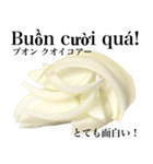 国産玉ねぎ【ベトナム語】（個別スタンプ：13）