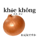 国産玉ねぎ【ベトナム語】（個別スタンプ：16）