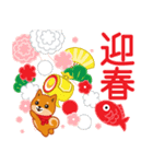 柴犬「ムサシ」59 お正月 再版（個別スタンプ：8）