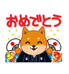 柴犬「ムサシ」59 お正月 再版（個別スタンプ：9）