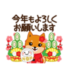 柴犬「ムサシ」59 お正月 再版（個別スタンプ：11）