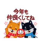 柴犬「ムサシ」59 お正月 再版（個別スタンプ：18）