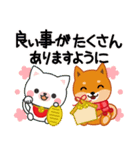 柴犬「ムサシ」59 お正月 再版（個別スタンプ：20）