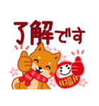 柴犬「ムサシ」59 お正月 再版（個別スタンプ：24）