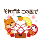 柴犬「ムサシ」59 お正月 再版（個別スタンプ：28）