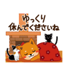 柴犬「ムサシ」59 お正月 再版（個別スタンプ：30）