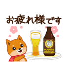 柴犬「ムサシ」59 お正月 再版（個別スタンプ：31）