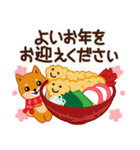 柴犬「ムサシ」59 お正月 再版（個別スタンプ：39）